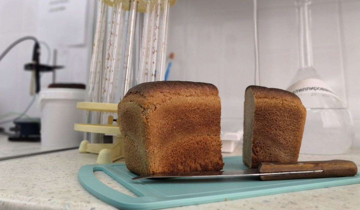В Курске обнародовали итоги смотра качества хлеба