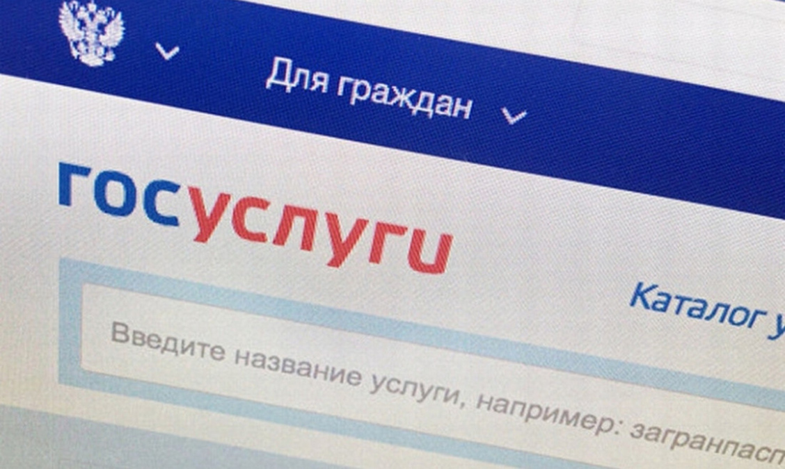 Жители Курской области смогут узнать информацию о льготах через Госуслуги