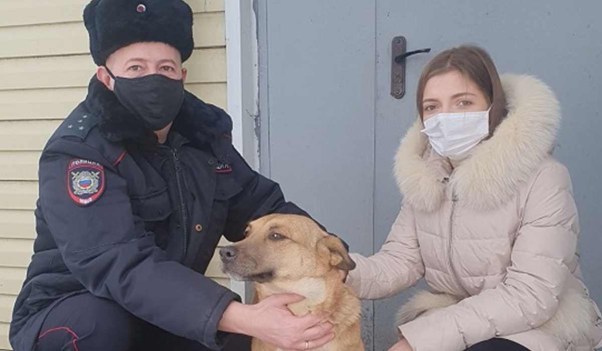 Курские полицейские помогли курянке найти пропавшую собаку