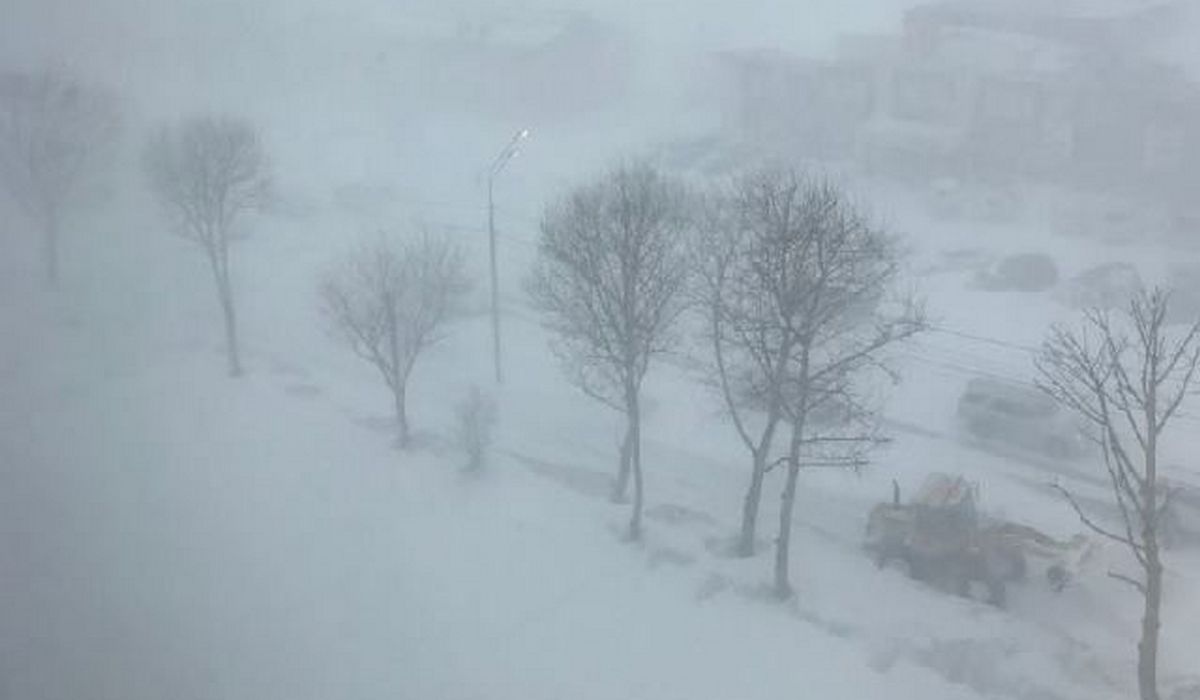 В Курской области прогнозируются метель и снежные заносы