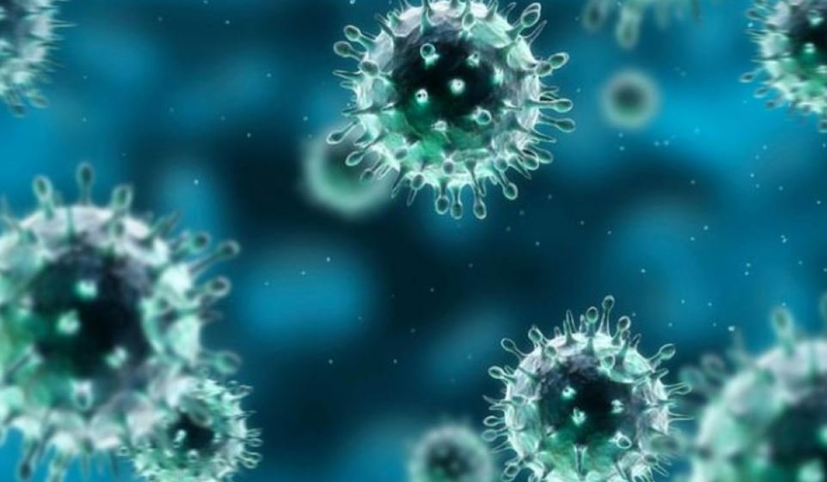 Еще 122 жителя Курской области заразились коронавирусом за сутки