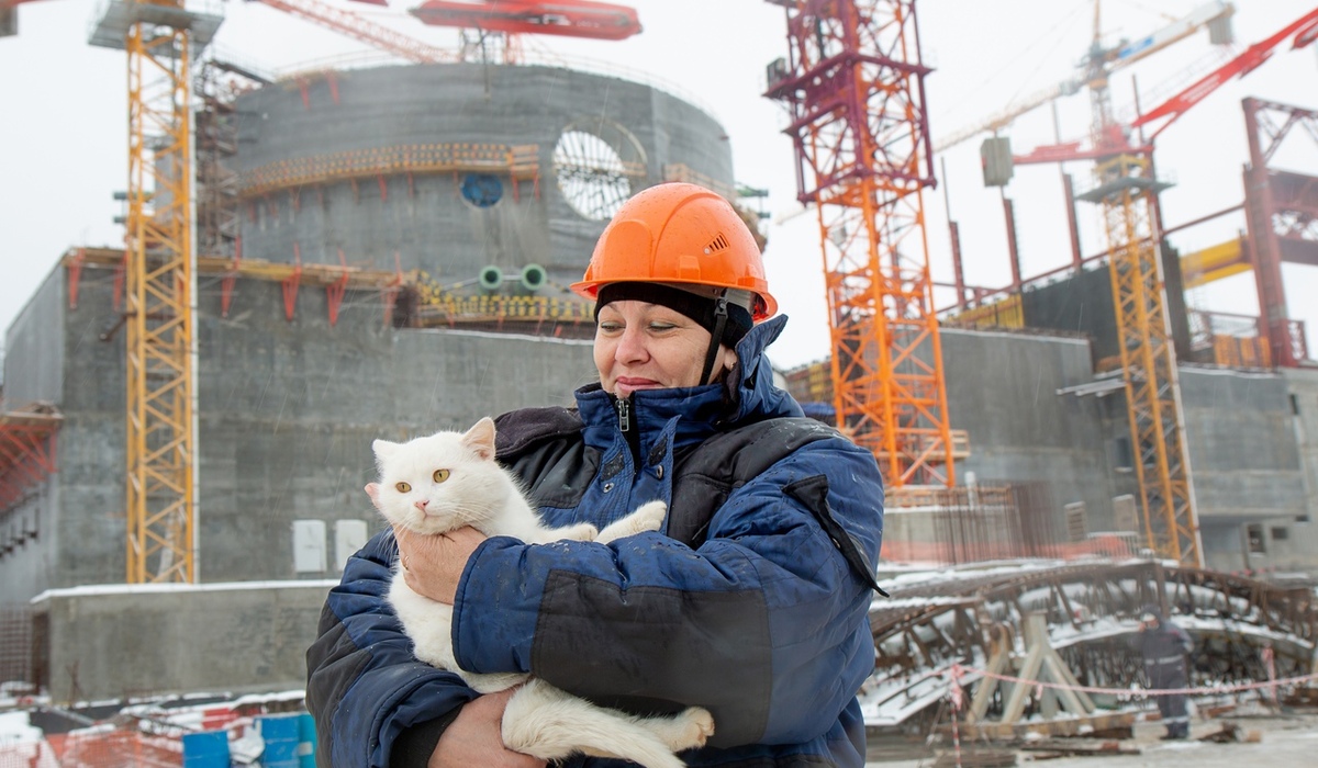 Бездомный кот из Курчатова может повторить славу крымского кота Мостика