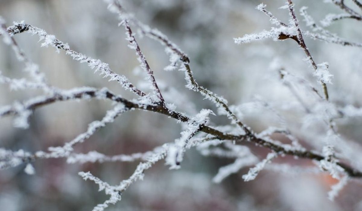 В Курской области завтра ожидаются снег и 6 градусов тепла