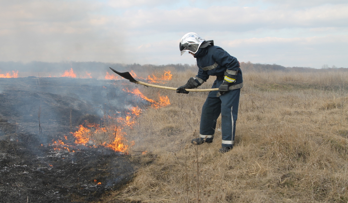 В Курской области за сутки 20 раз горела сухая трава