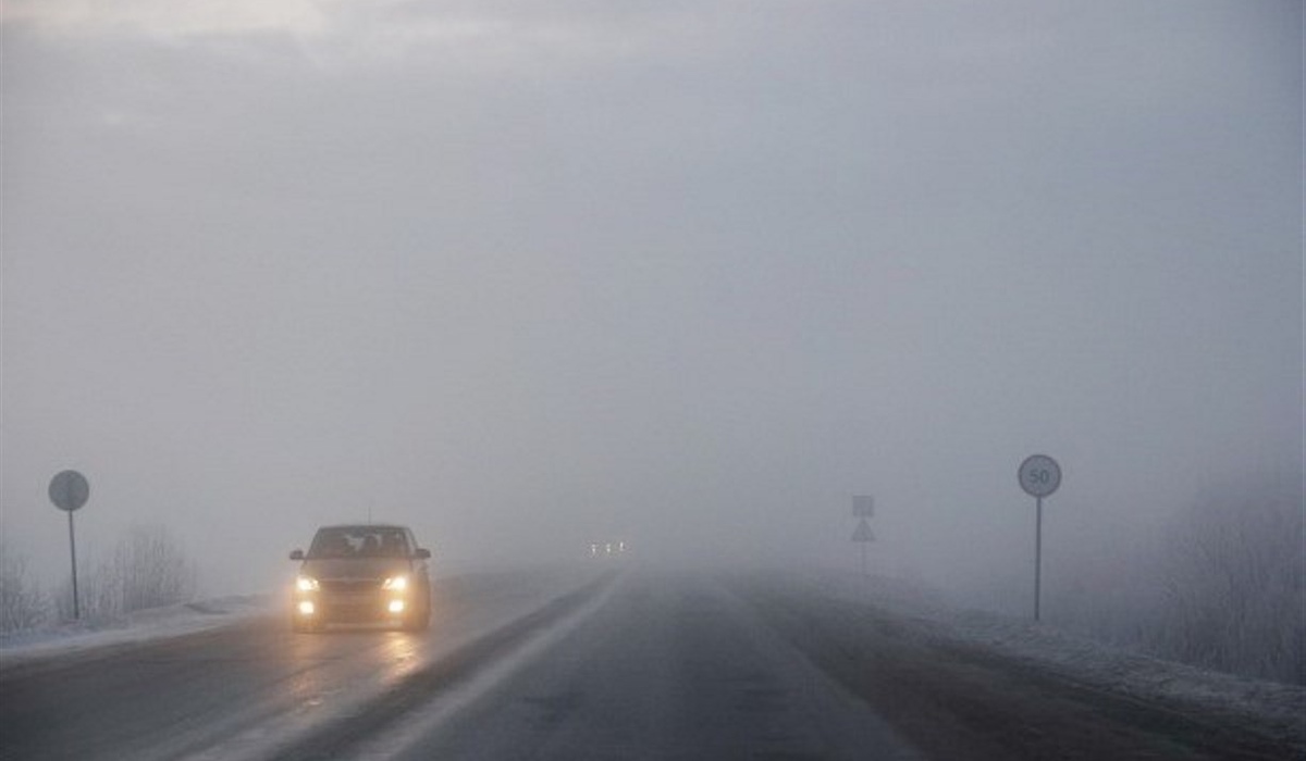 Завтра в Курской области ожидается туман и небольшой дождь