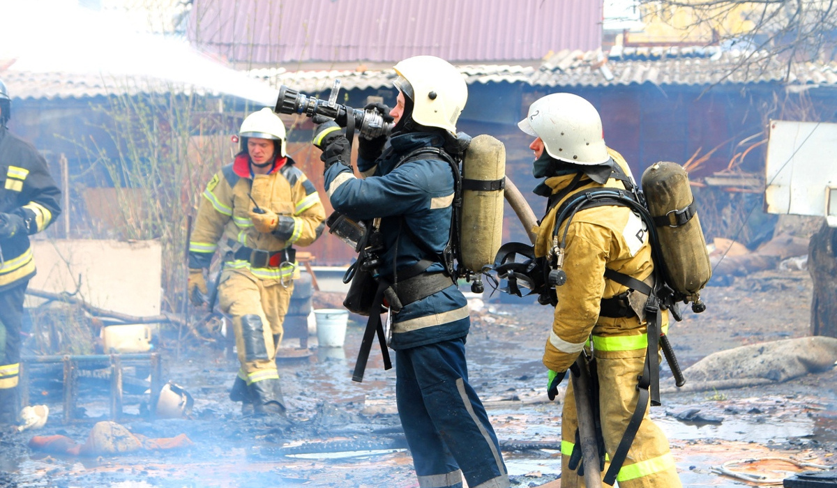 В Курске из горящего дома спасли 2 поросят