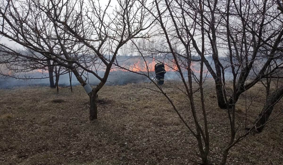 Курские  пожарные за сутки ликвидировали около 200 пожаров