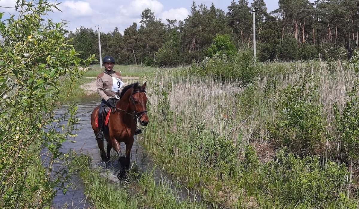 В Курском районе провели турнир по спортивному туризму на лошадях