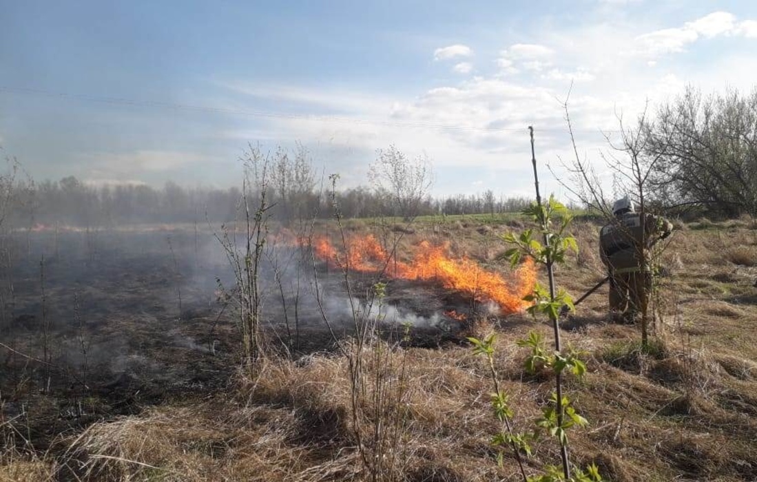 В Курской области за сутки зарегистрировали 35 пожаров