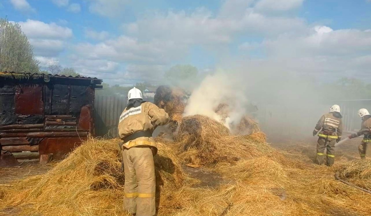 В Курской области 6-летний мальчик поджог солому и чуть не спалил деревню Бобровку