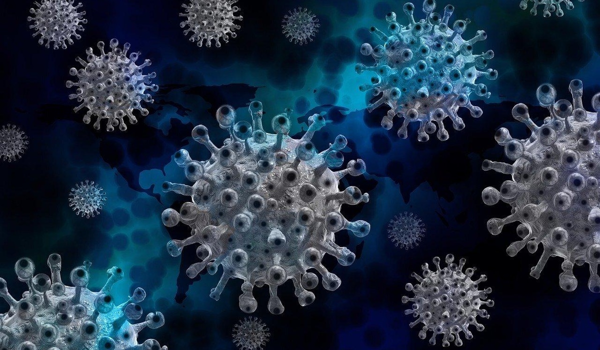 В Курской области у 38 человек за сутки выявили коронавирус