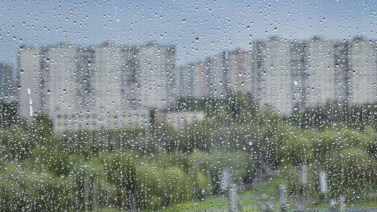В Курской области 5 июня ожидаются дожди и 19 градусов тепла
