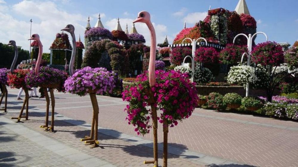 В Курске улицу Ленина украсят 11 страусов из цветов