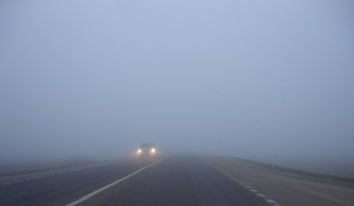 В Курской области 15 июня ожидаются 28 градусов тепла и туман