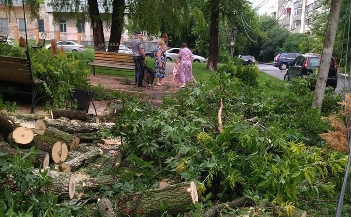 В Курске на прошлой неделе снесли 60 аварийных деревьев
