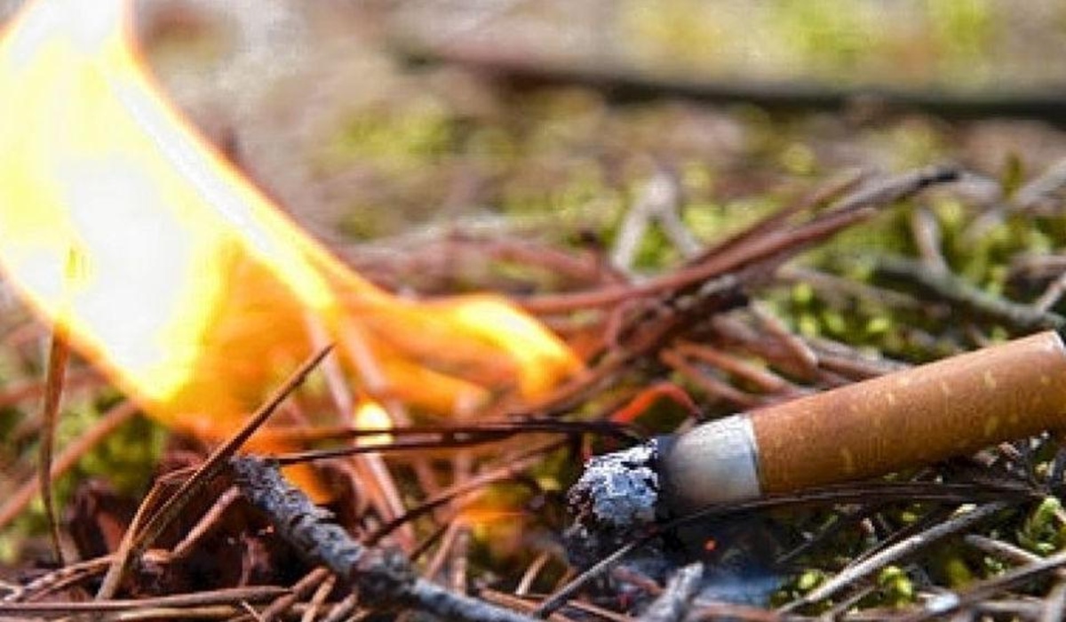 В Курской области из-за непотушенной сигареты произошло два пожара