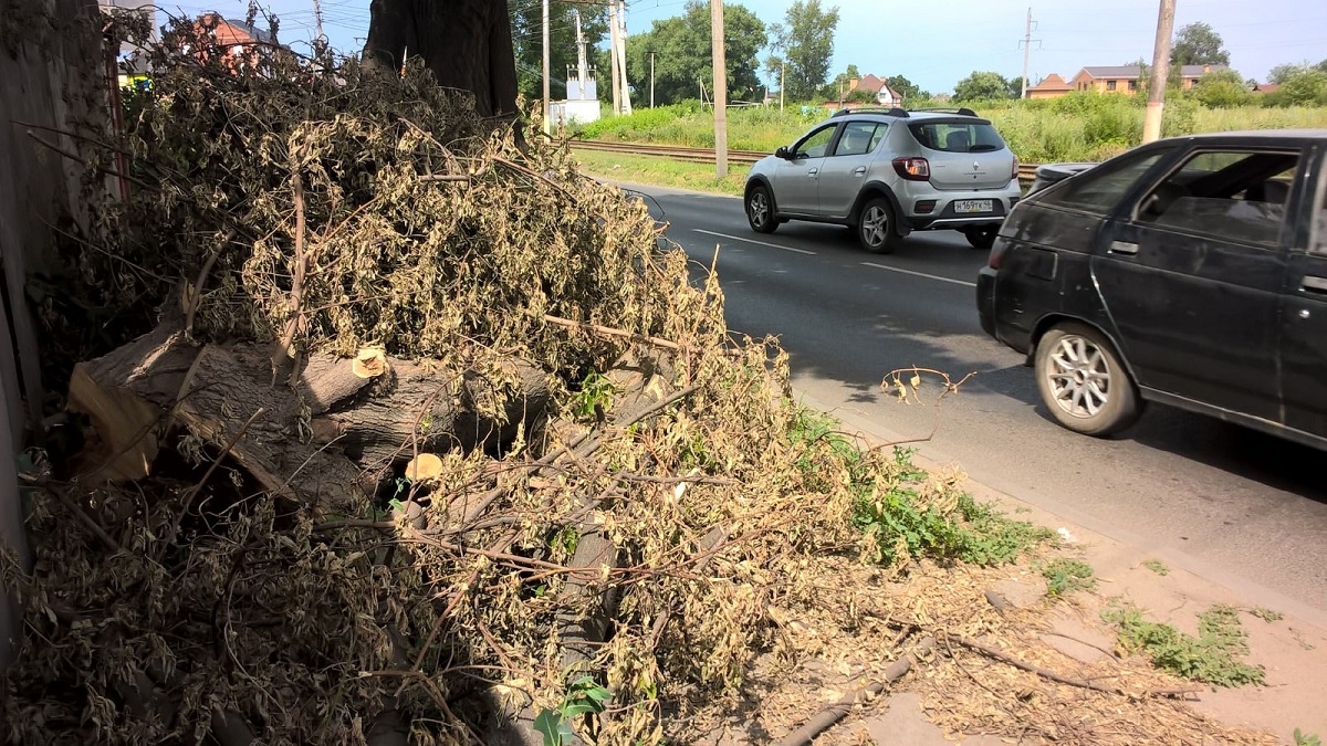 В Курске жители улицы Литовской жалуются на заваленный ветками тротуар