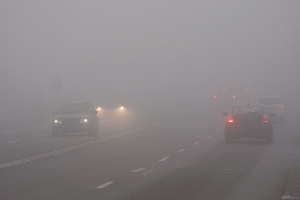 В Курской области завтра ожидаются туман и 27 градусов тепла