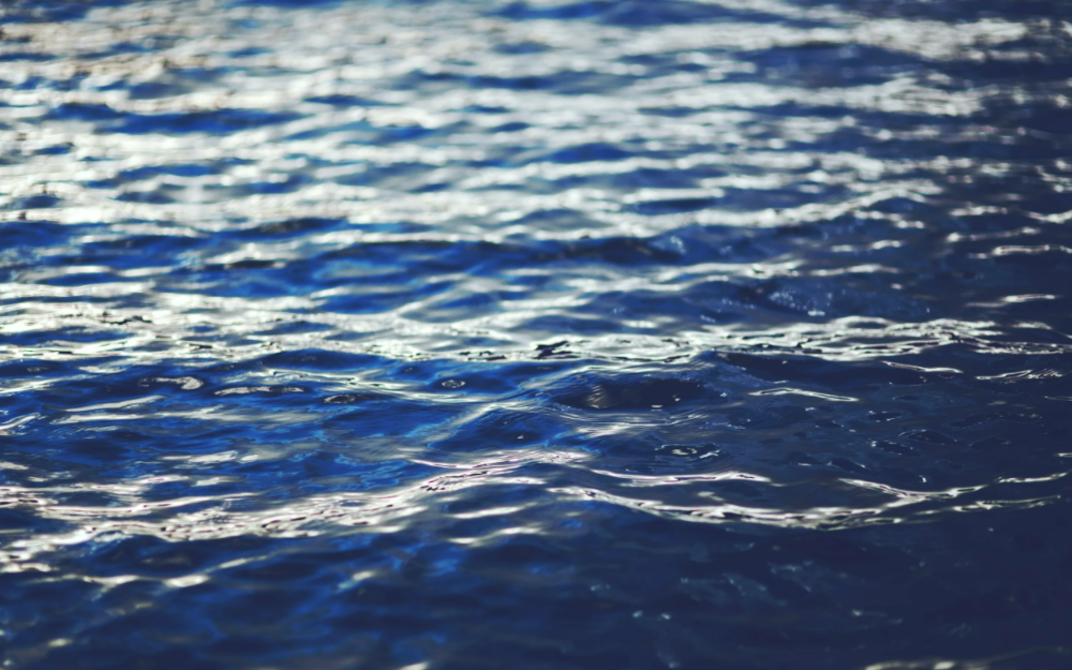 В Курске в Стрелецком озере утонул 30-летний мужчина