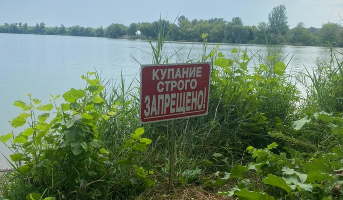 В пруду Курского района утонули двое мужчин