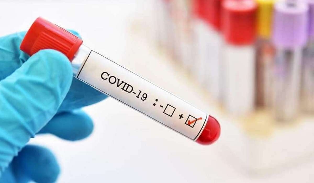 У 656 курян за сутки выявили коронавирус