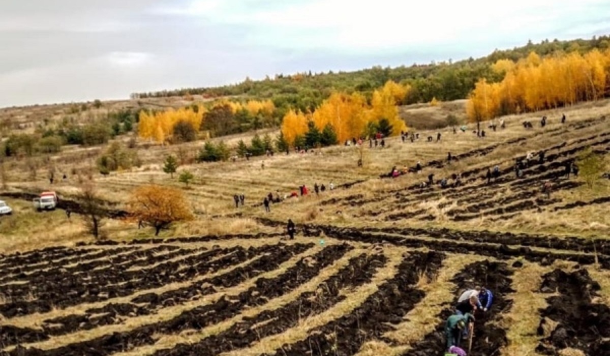 В Обоянском районе Курской области состоялась акция «Посади лес»