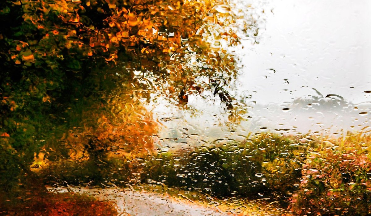 В Курской области 14 октября ожидаются дожди и сильный ветер