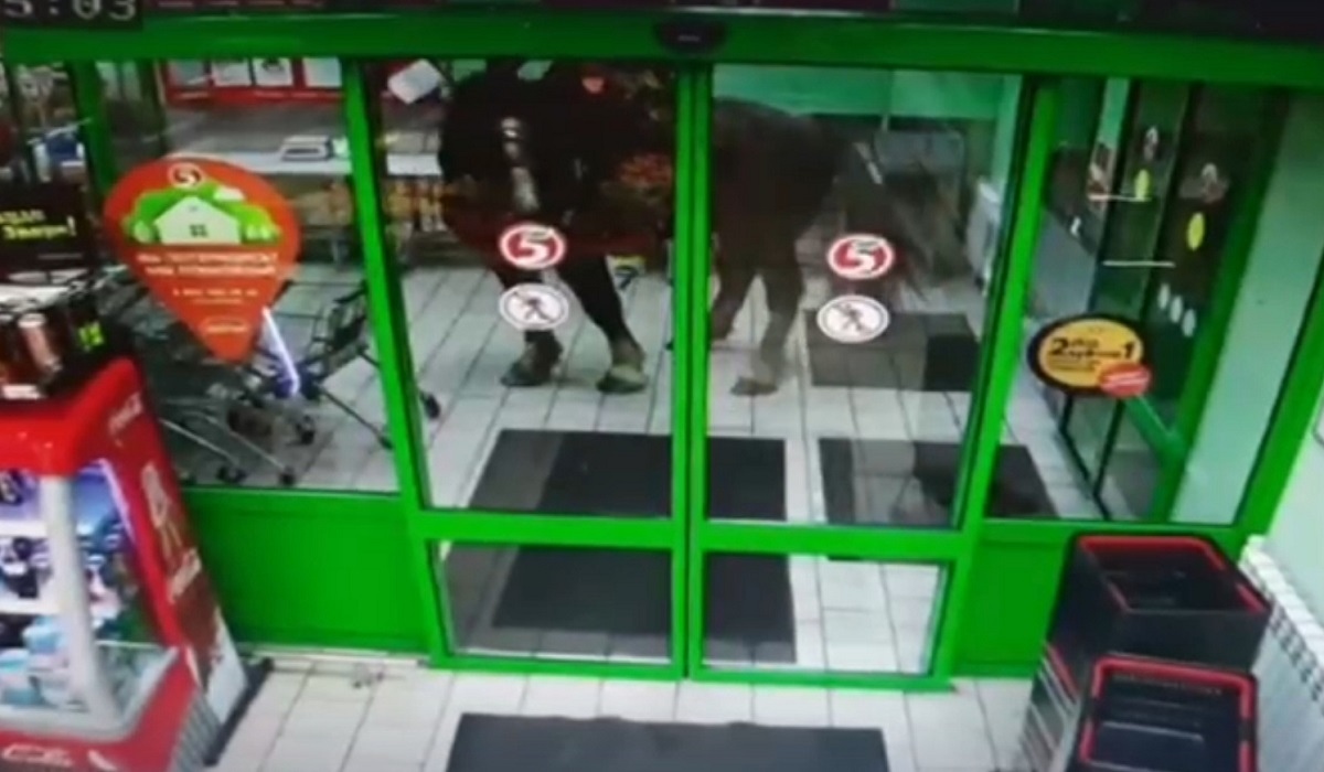 Под Курском пьяный мужчина въехал в супермаркет на лошади, размахивал шашкой и требовал хлеба