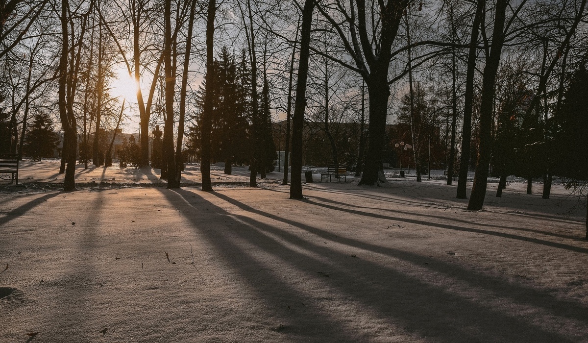 Новогодняя неделя в Курской области началась с морозов