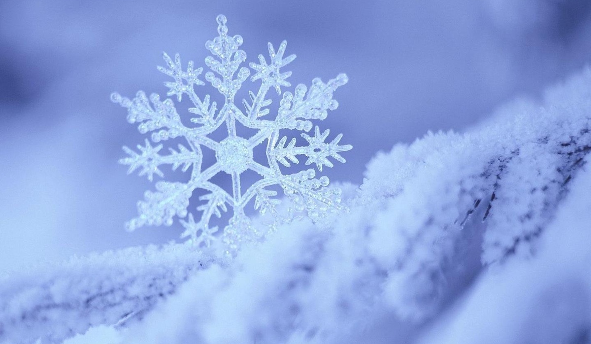 В Курской области завтра ожидаются снег и 20 градусов мороза