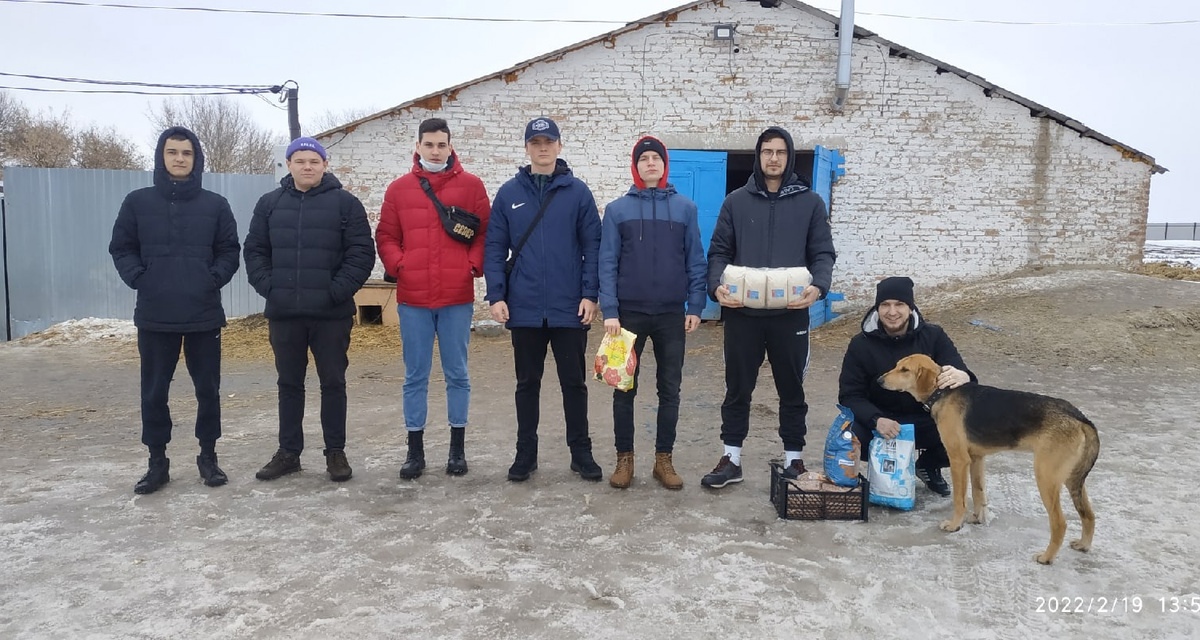 Курские студенты привезли корм в приют для бездомных собак