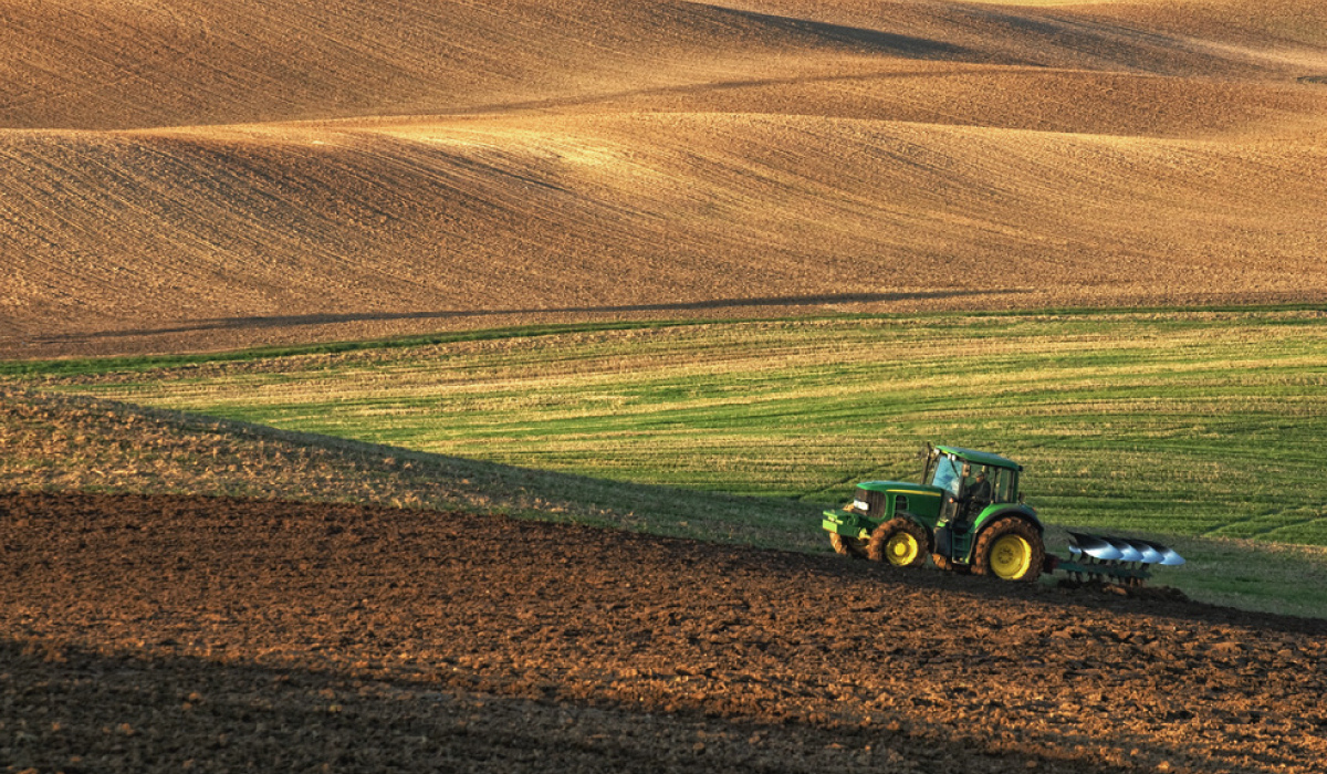 В Курской области посеют 82 тысячи тонн семян зерновых культур