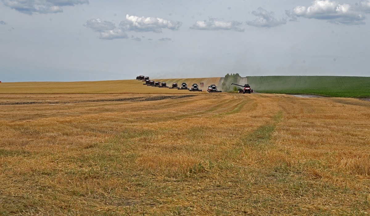 В Курской области на развитие сельского хозяйства в 2021 году направлено более 6,7 млрд рублей