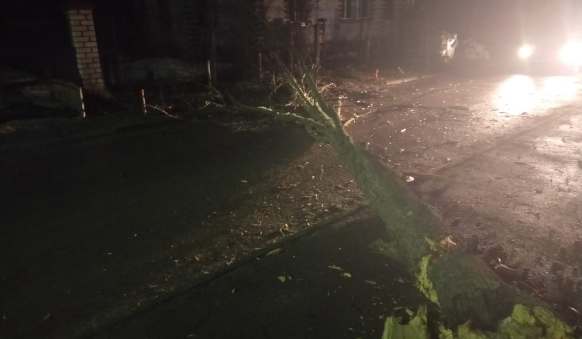 Последствия непогоды в Курской области: поврежденные крыши и поваленные деревья
