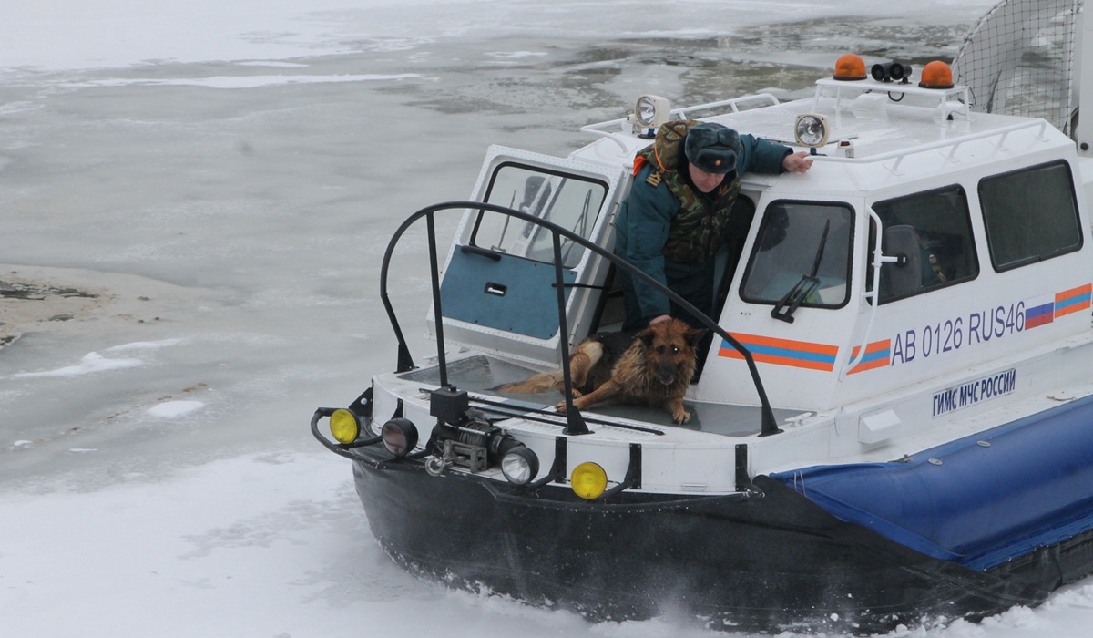 Курские инспекторы ГИМС спасли собаку, провалившуюся под лед