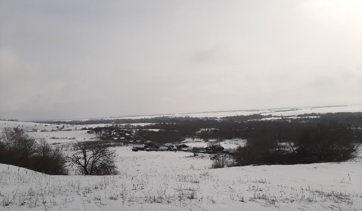 8 марта в Курской области ожидаются туман, снег и до 5 градусов мороза днем