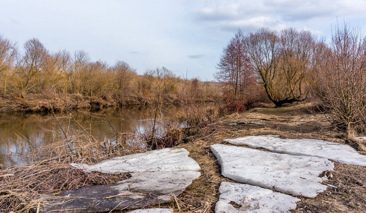 В Курской области расчистят участки рек Тим и Щигор