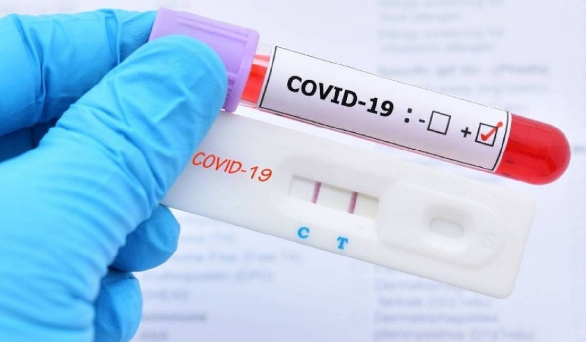 В Курской области за сутки выявлен 241 новый случай заражения коронавирусом