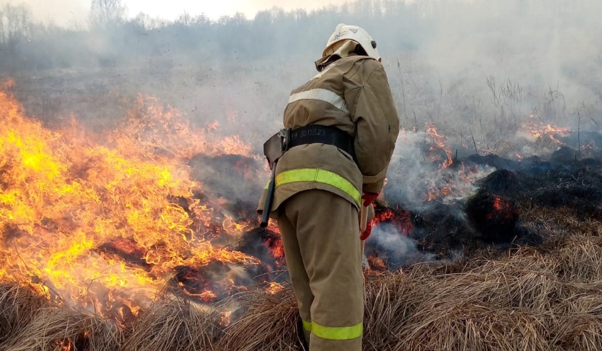 За сутки в Курской области произошло 12 пожаров