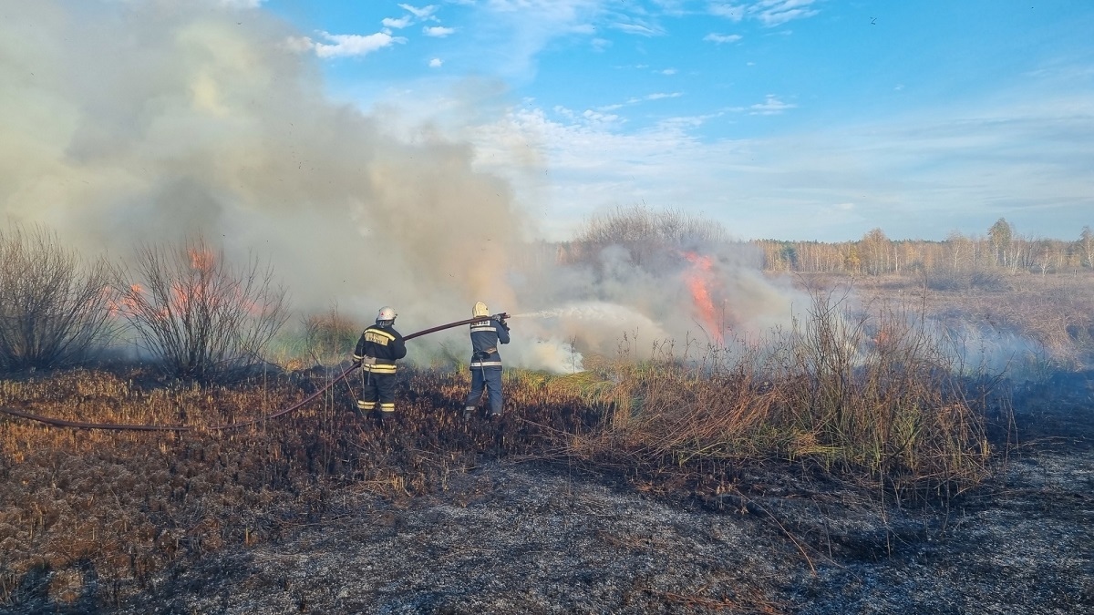 В Курской области начала гореть сухая трава