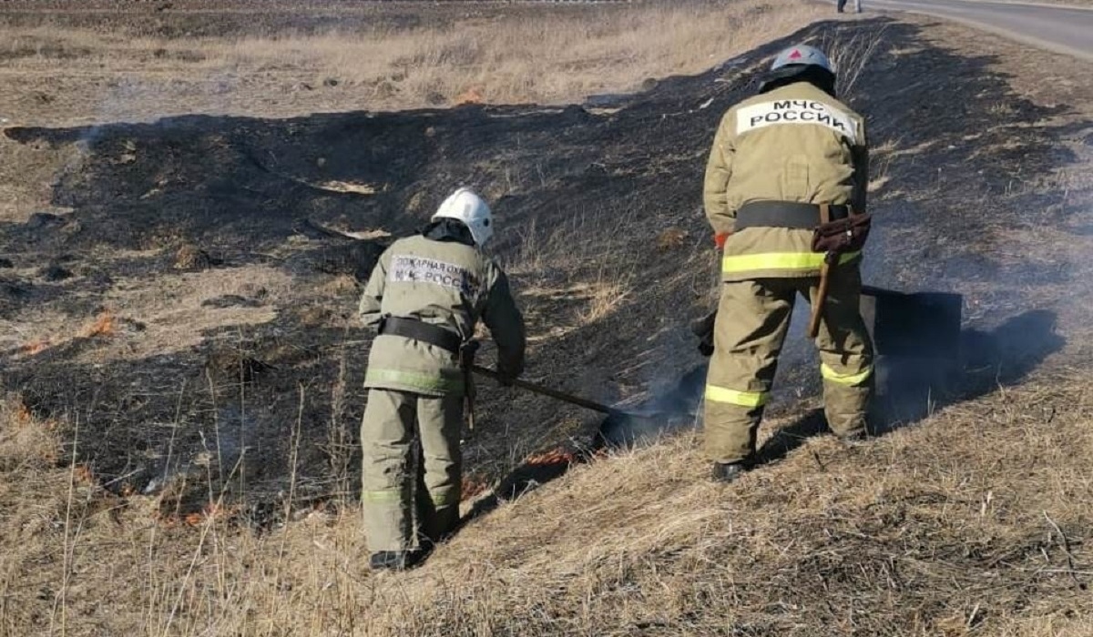 В Курской области сухая трава горела за сутки 4 раза