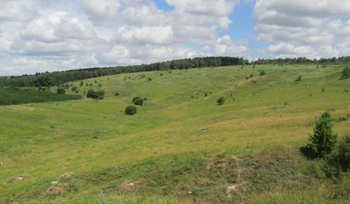 В Курской области появился памятник природы с редкими видами растений и животных