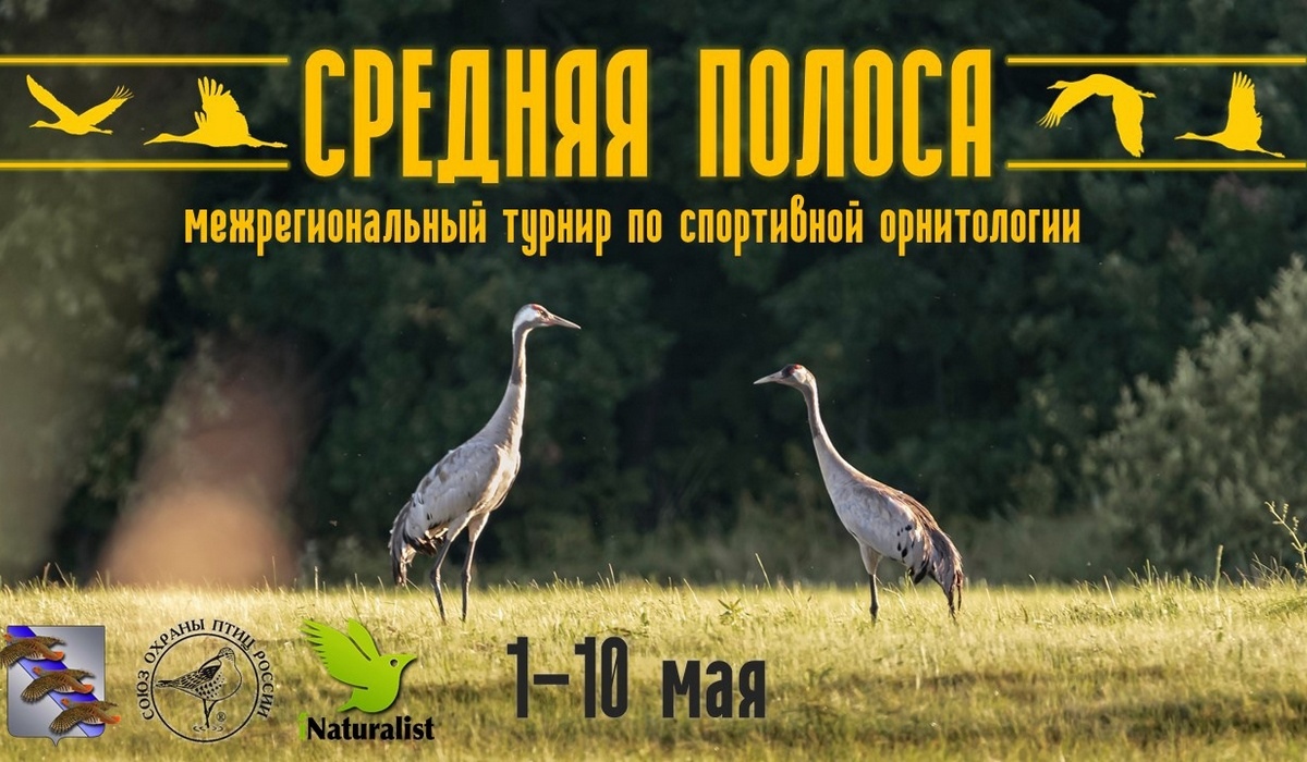 В Курске пройдет турнир по спортивной орнитологии «Средняя полоса»