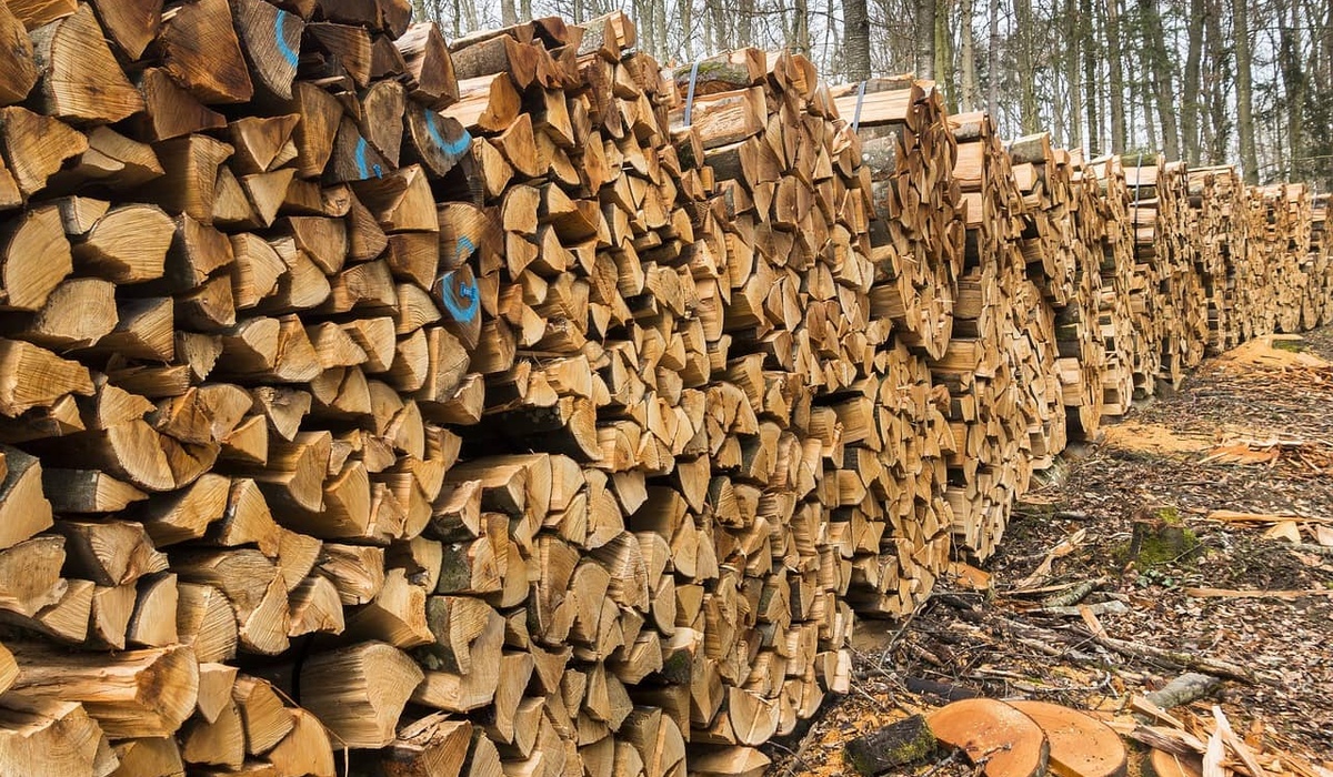 36-летний курянин украл 7 мешков дубовых дров