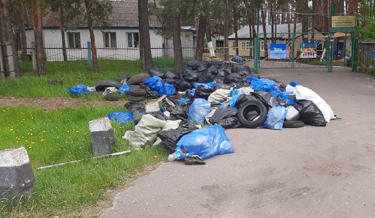 В Курске участники «Чистых игр» собрали 2,5 тонны мусора