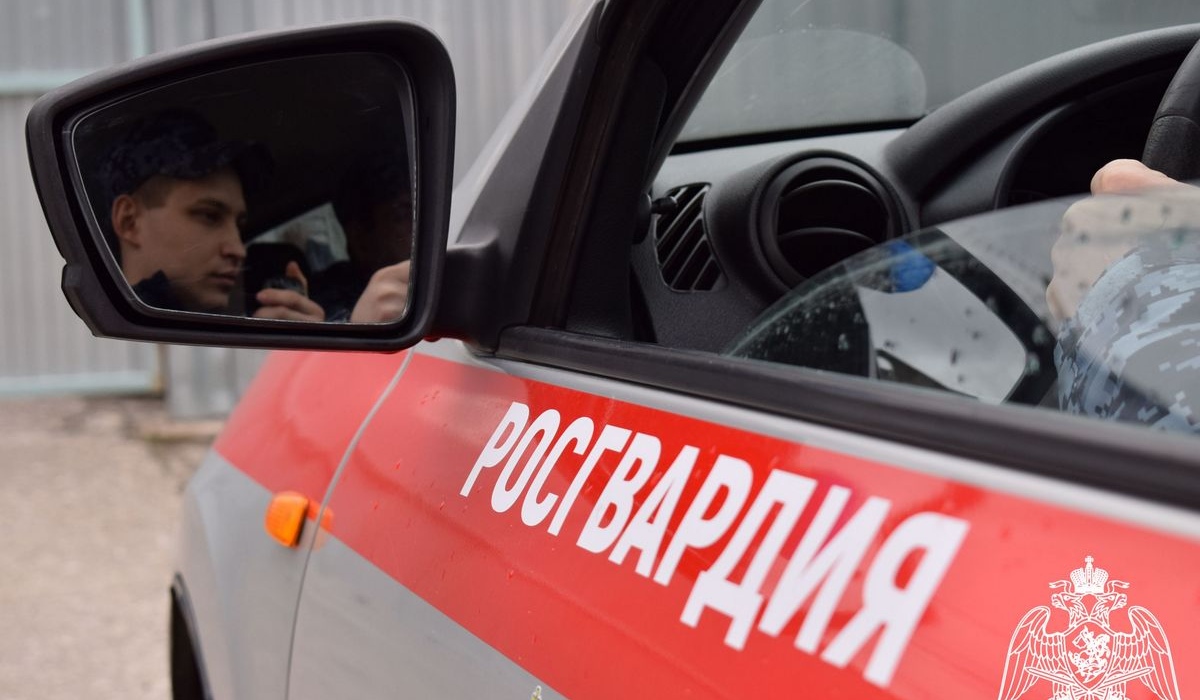 В Курской области росгвардейцы пресекли более 140 правонарушений