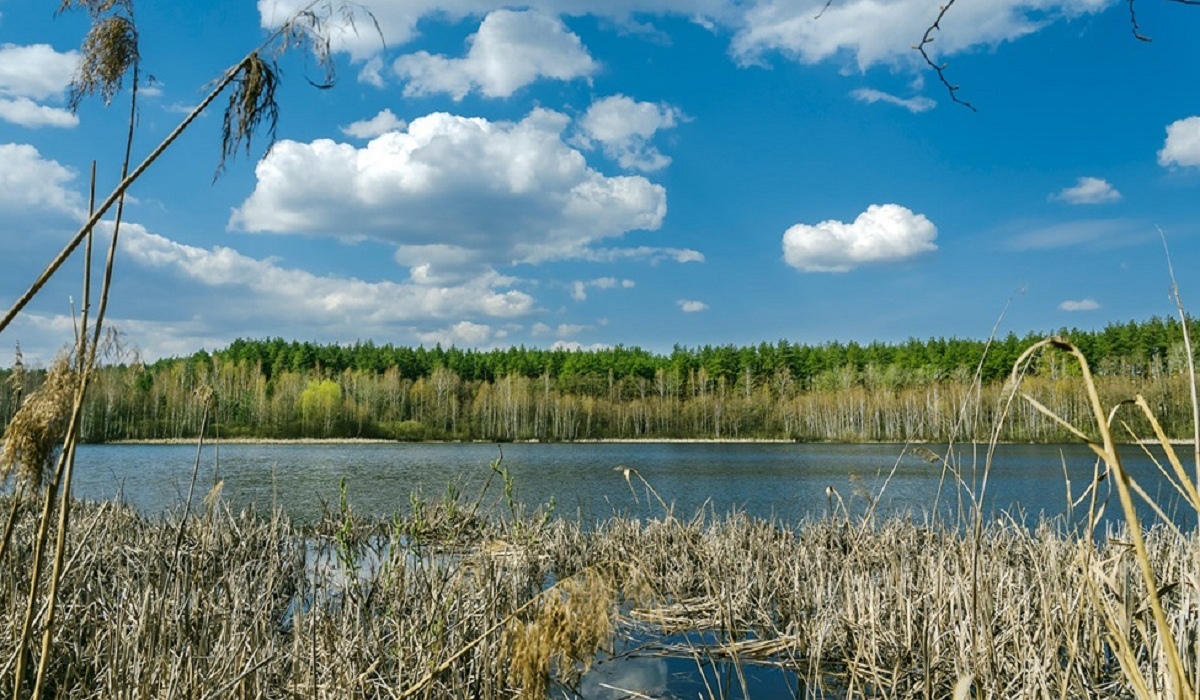 В Курской области атака ВСУ могла уничтожить Клюквенное озеро