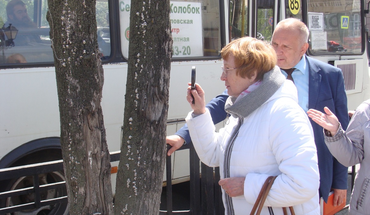Комиссия обследовала зеленые насаждения на главной улице Курска