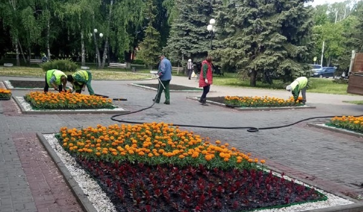 На площади Рокоссовского в Курске высадили более 12,6 тысяч цветов