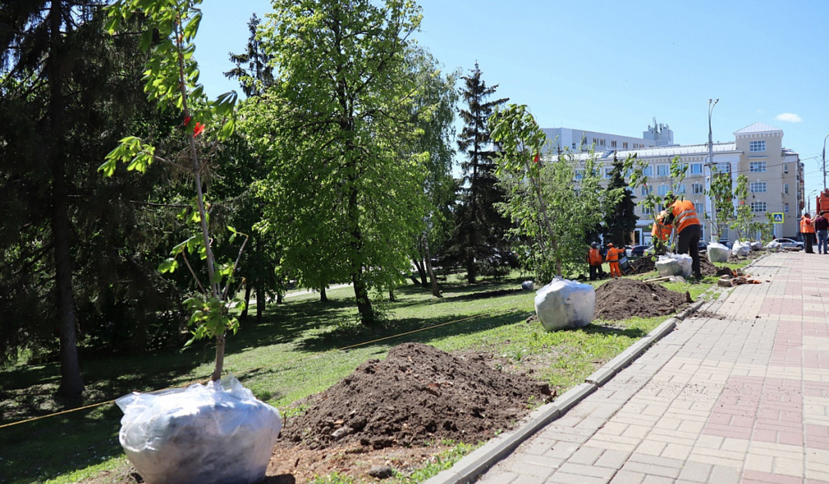 В Первомайском парке Курска высадили 15 деревьев